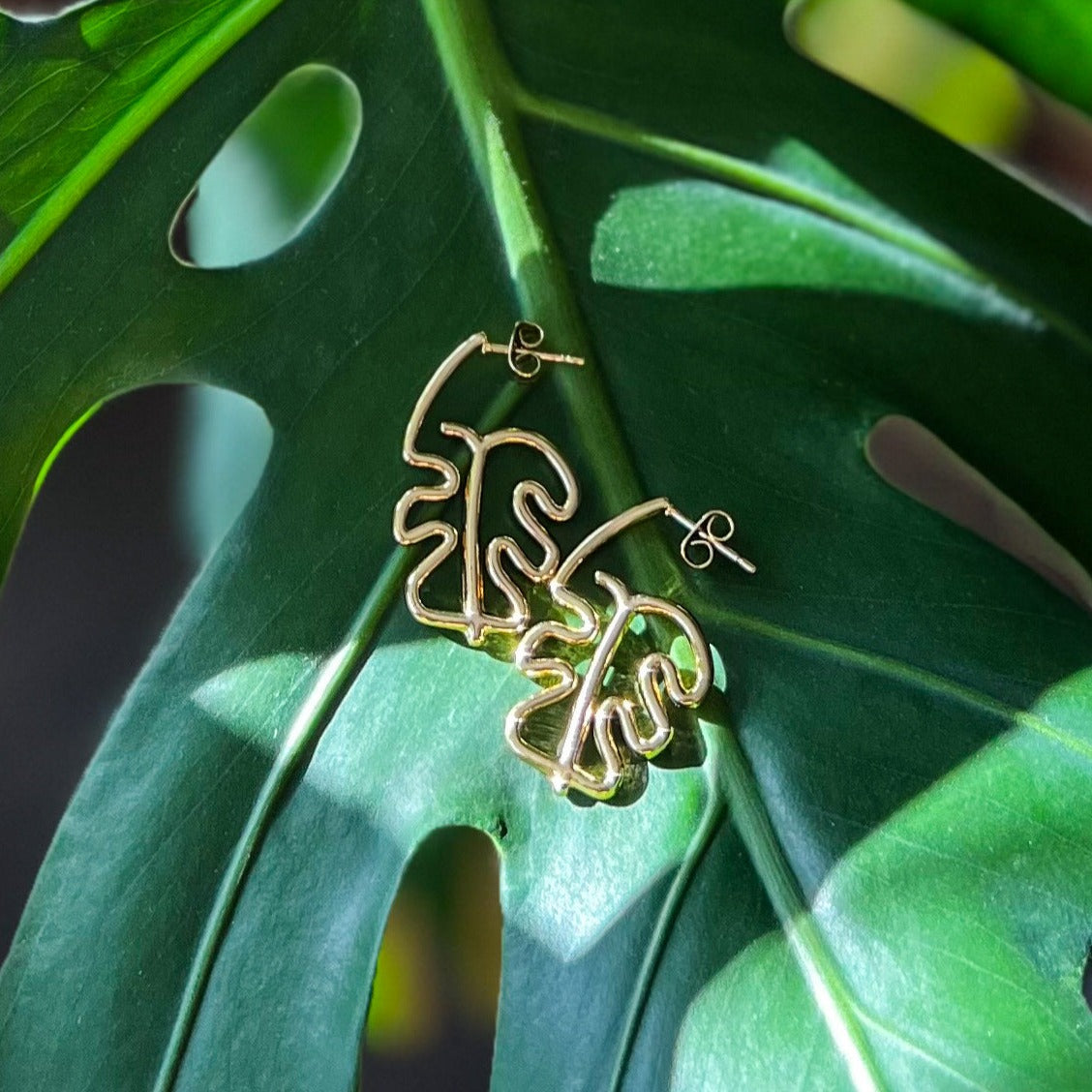 Monstera Earrings