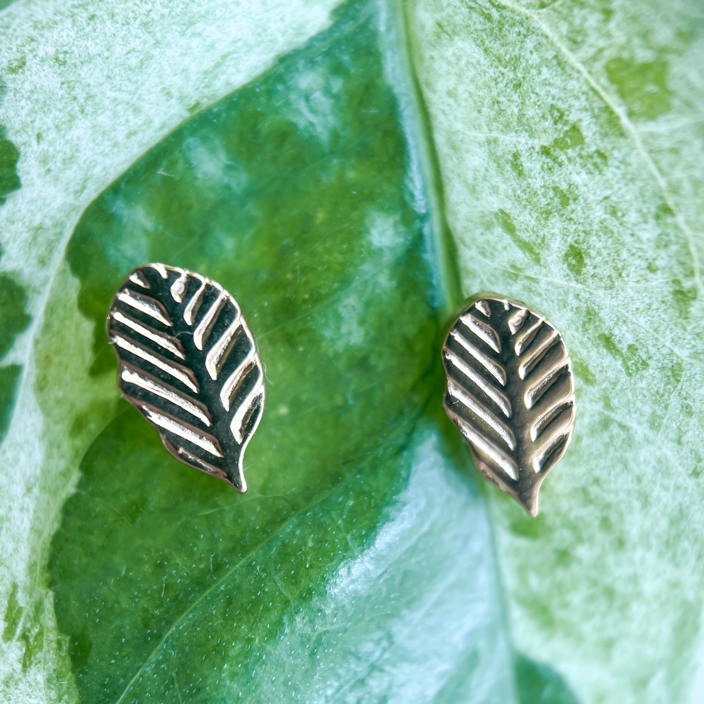Little Leaf Stud