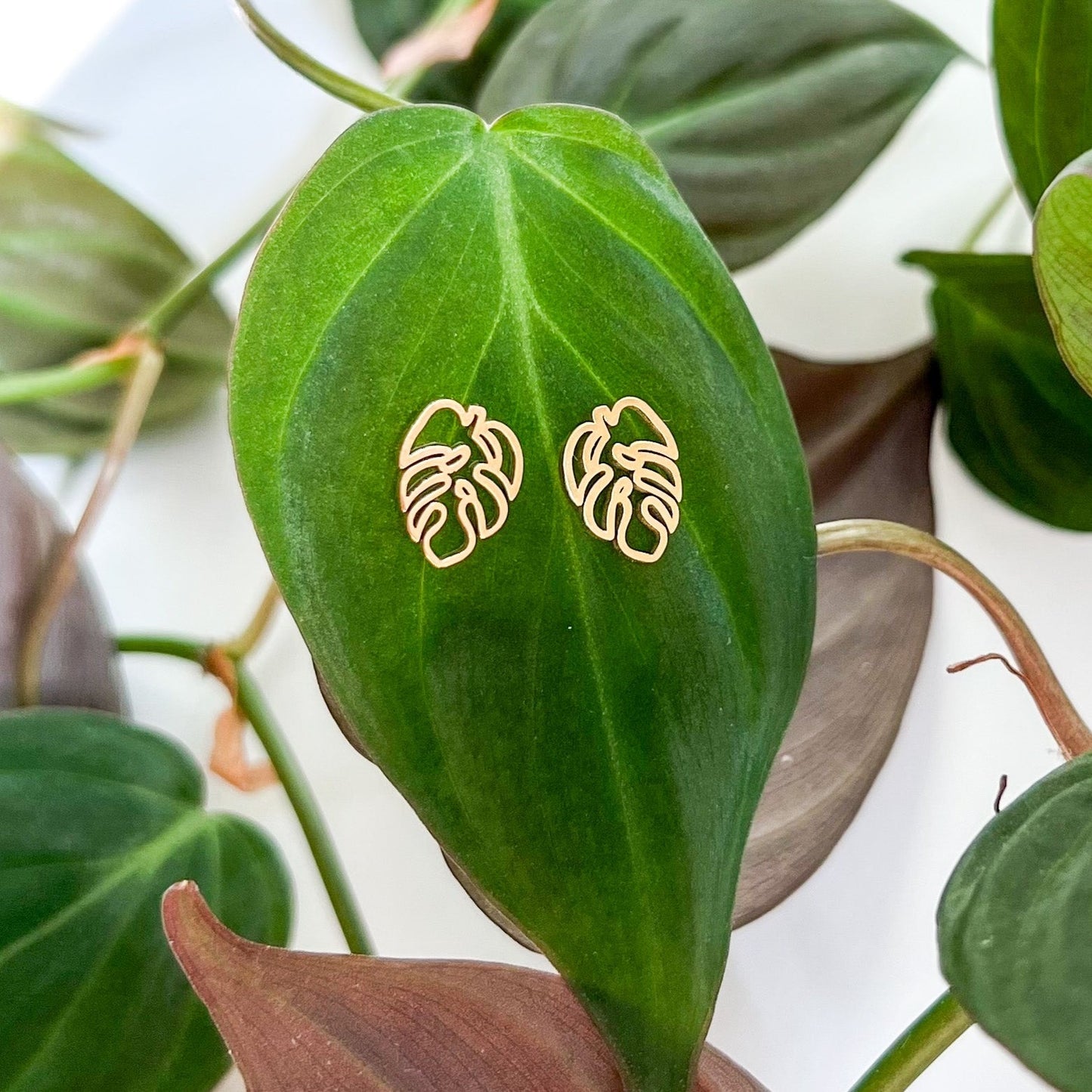 Hollow Leaf Stud