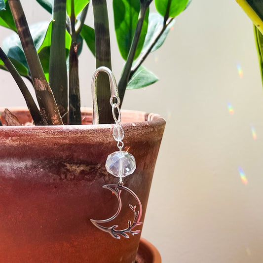 Silver Garden Moon Plant Prism