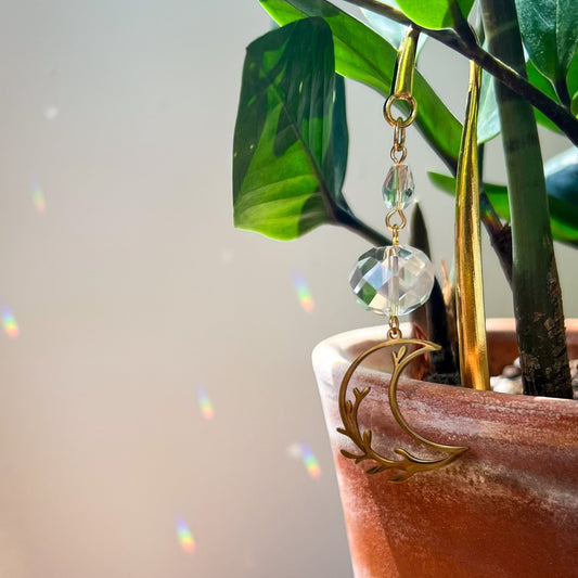 Gold Garden Moon Plant Prism