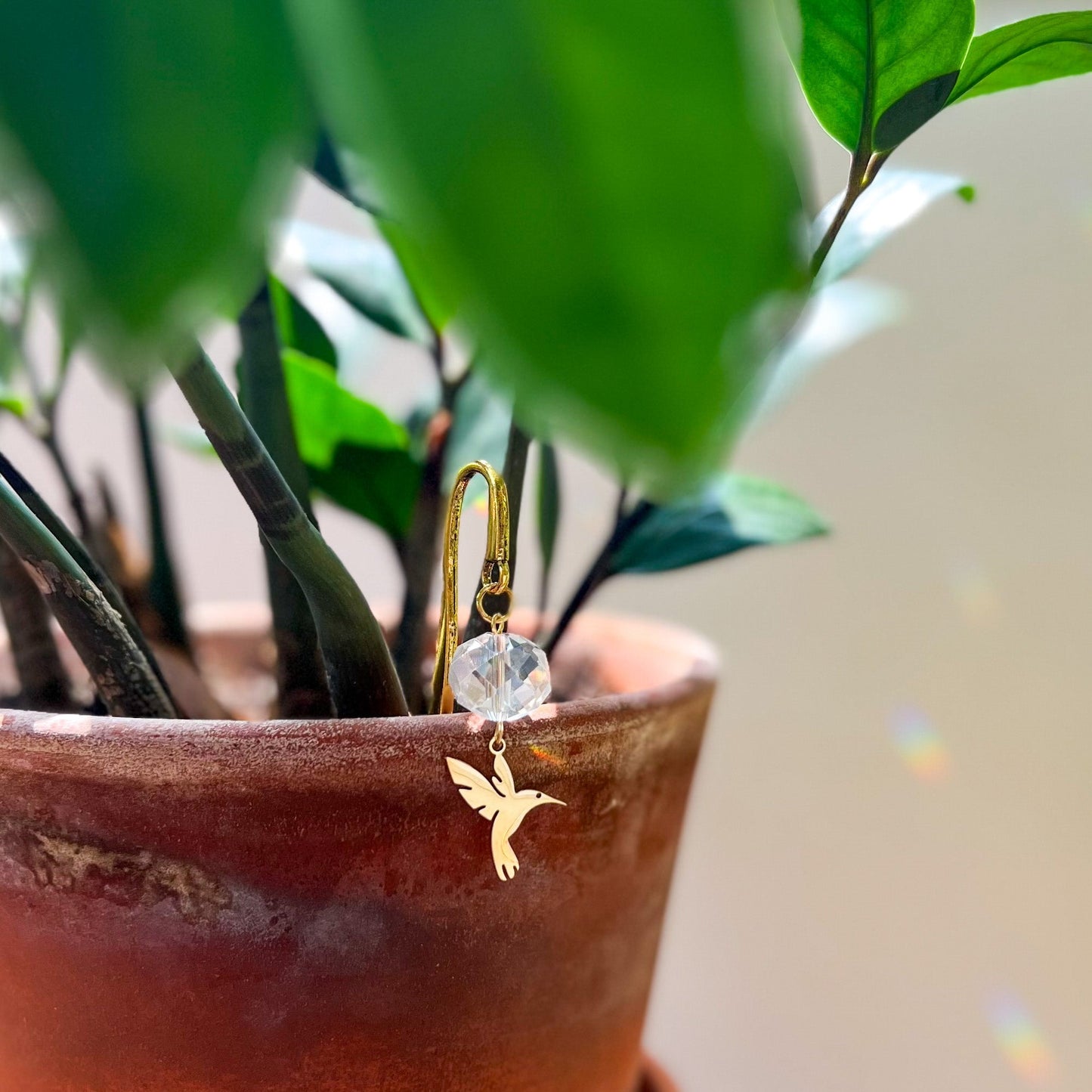 Hummingbird Plant Prism