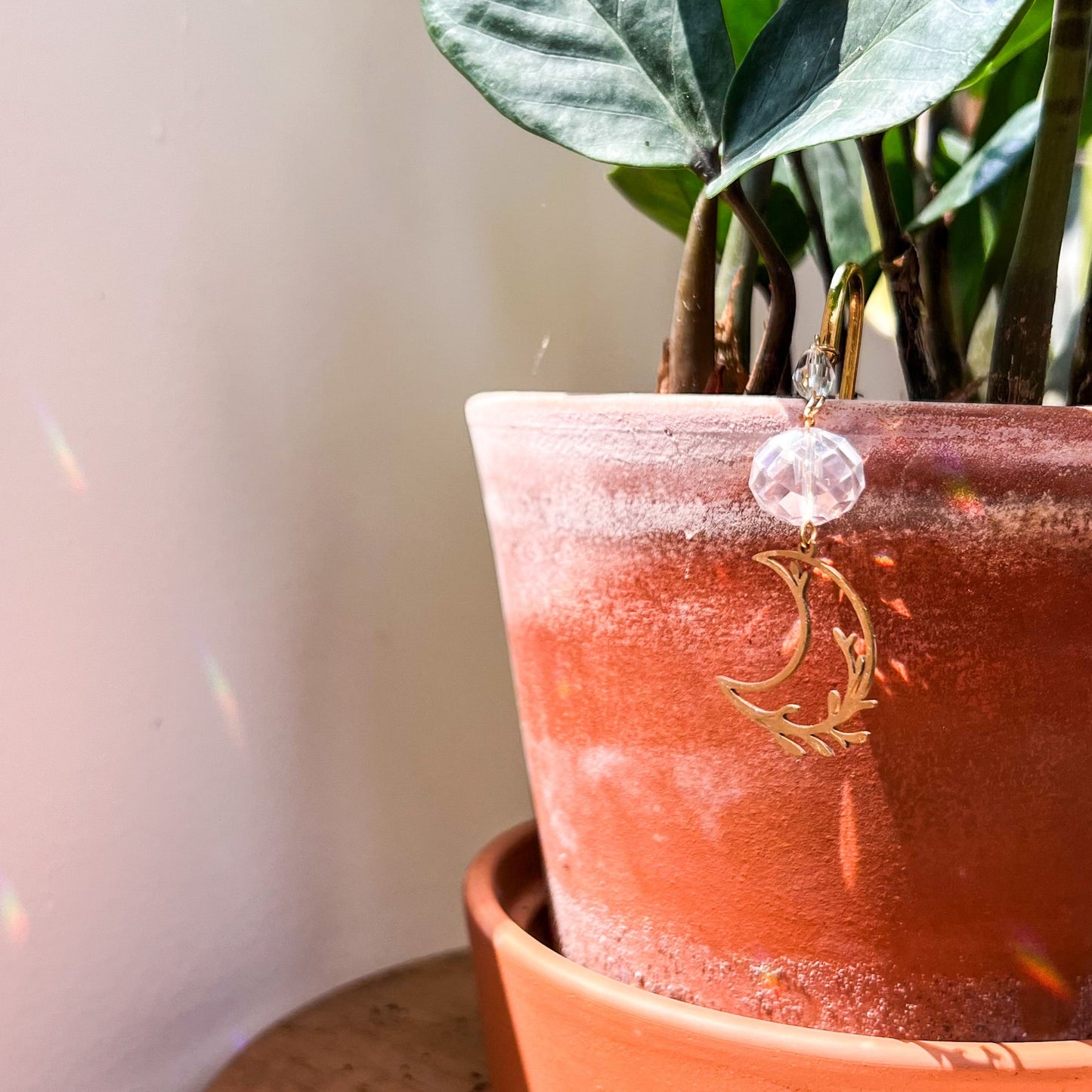 Gold Garden Moon Plant Prism