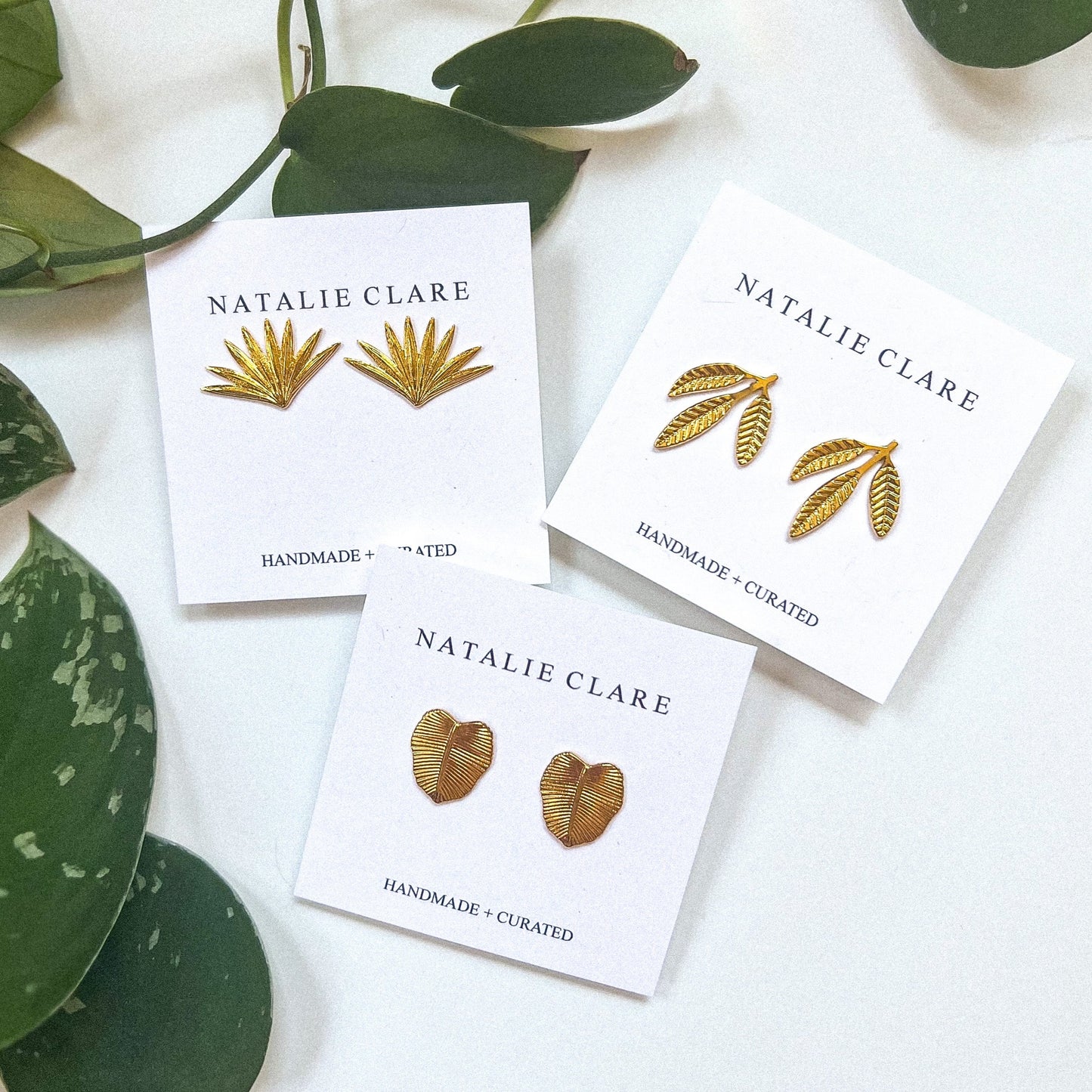 Philodendron Studs