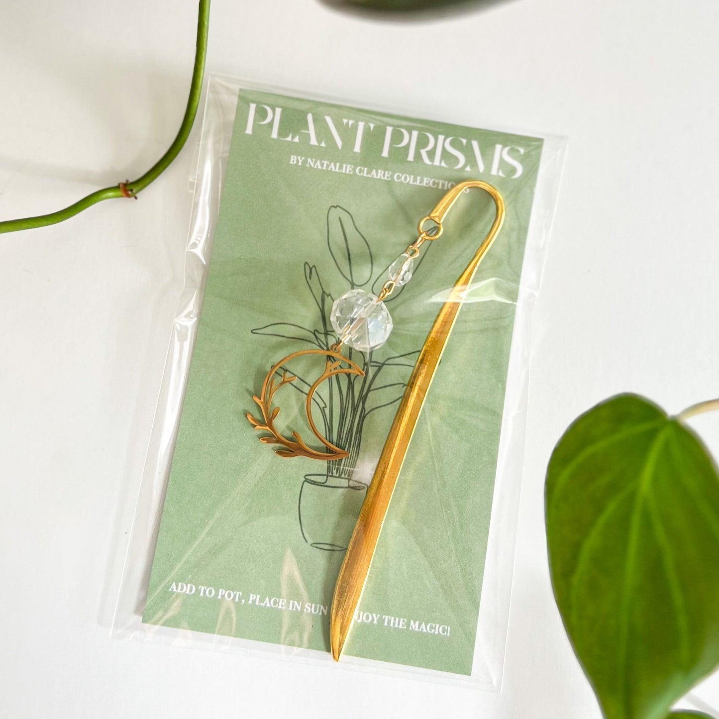 Gold Garden Moon Plant Prism