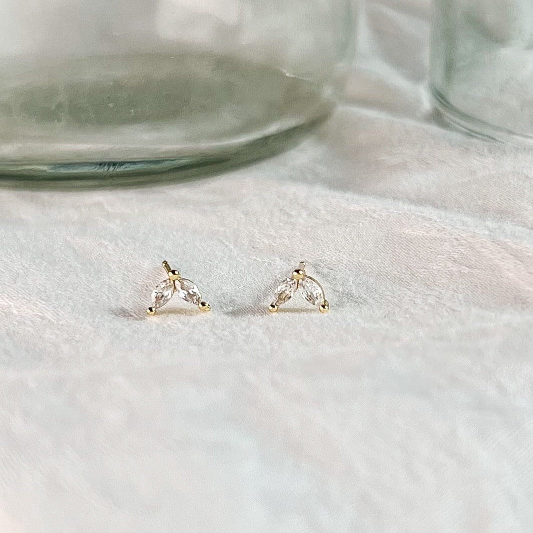 The Winged Earrings