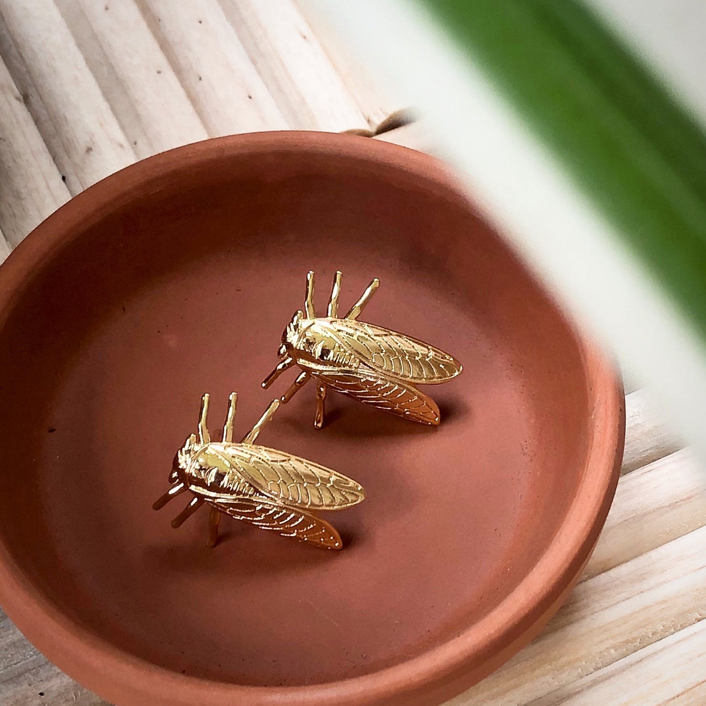 Cicada Earrings