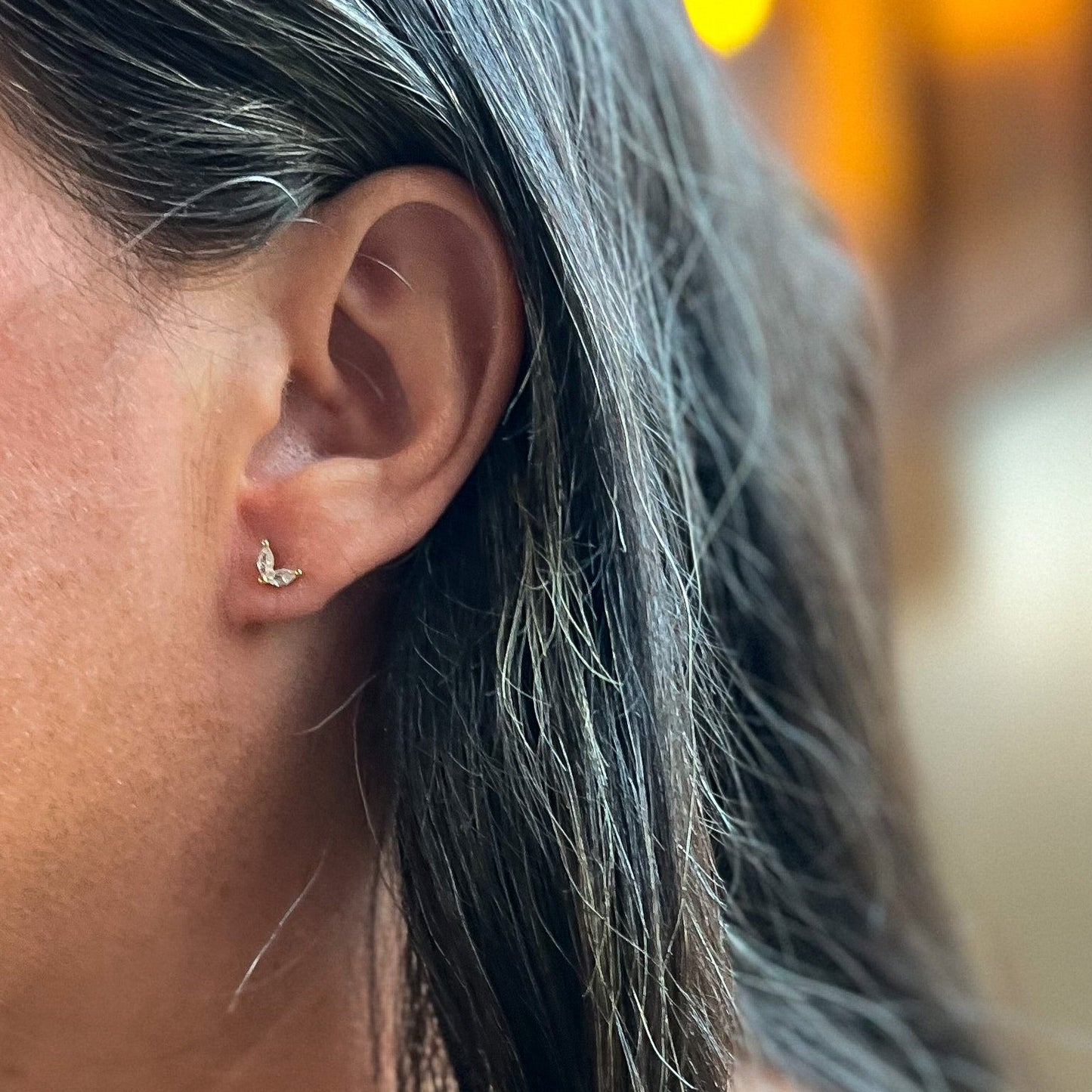 The Winged Earrings
