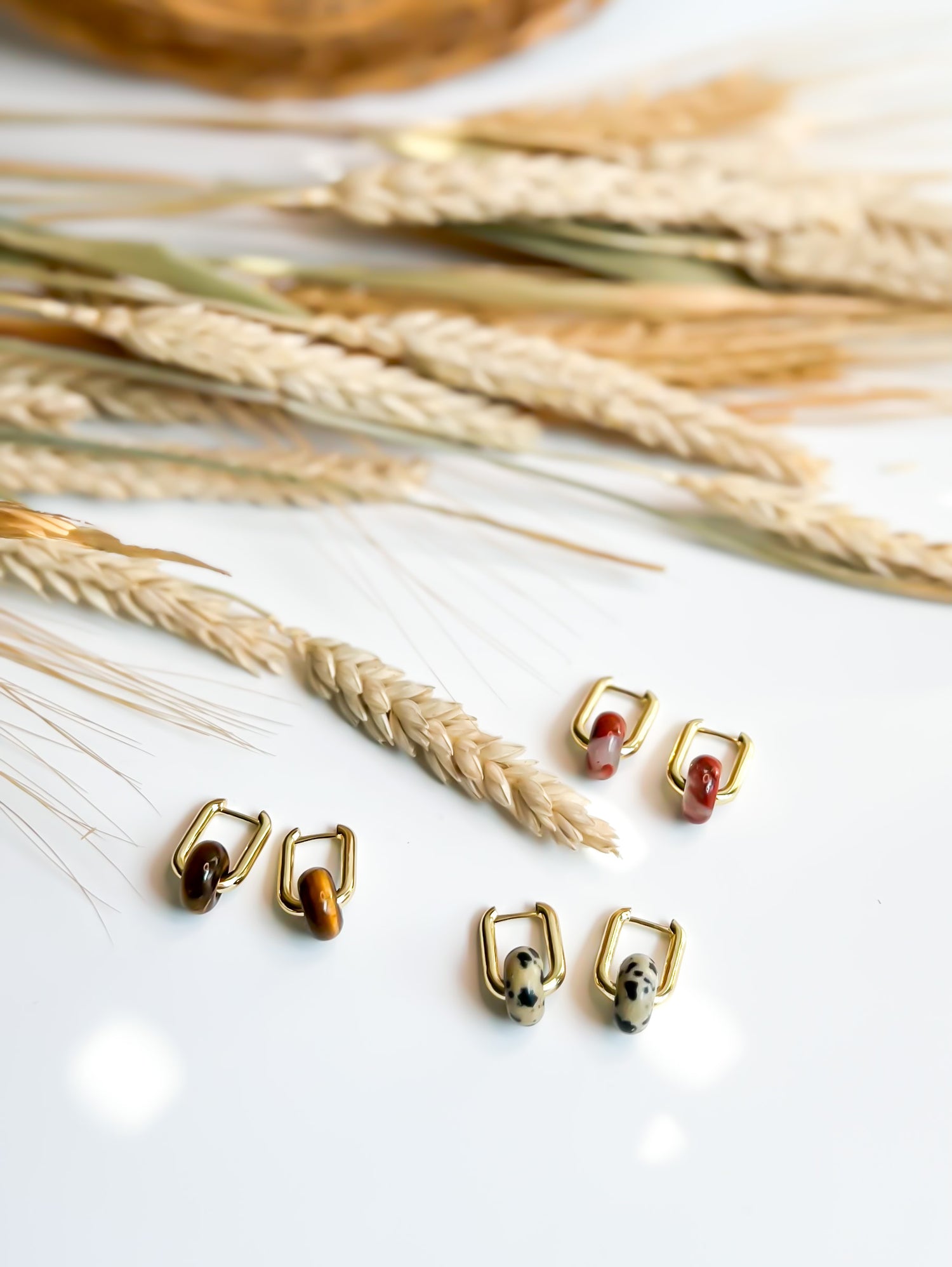 The Autumn Collection