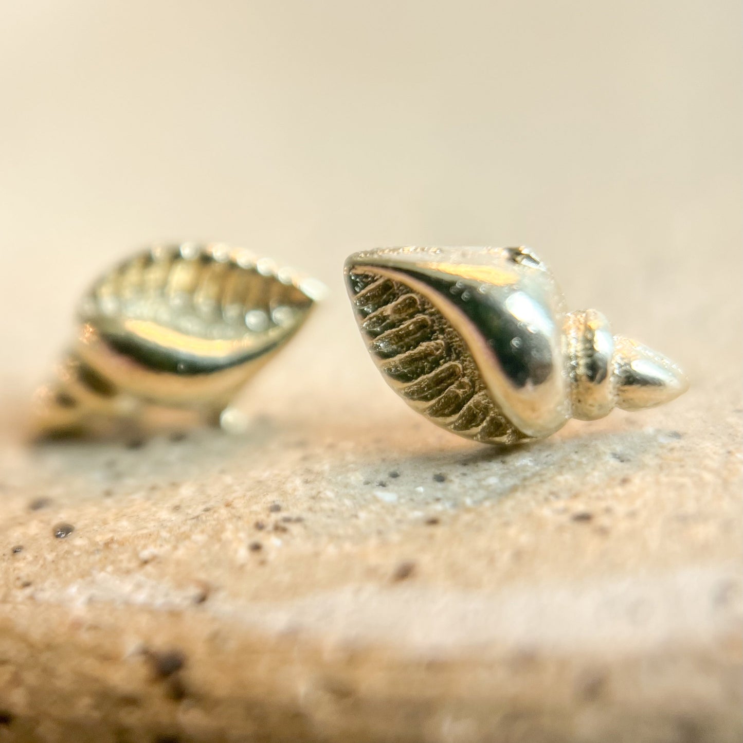 Tiny Seashell Studs
