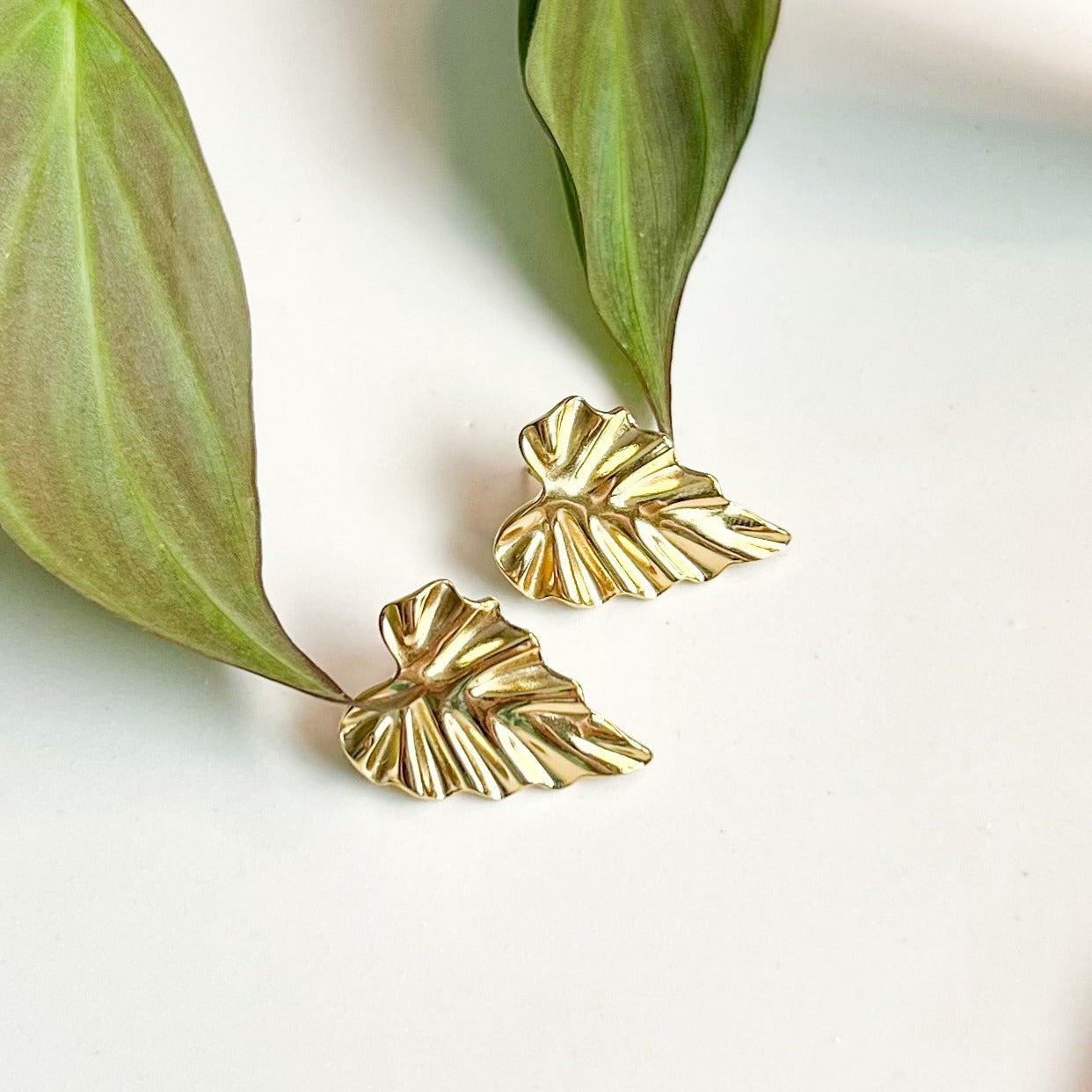 Alocasia Stud Earrings