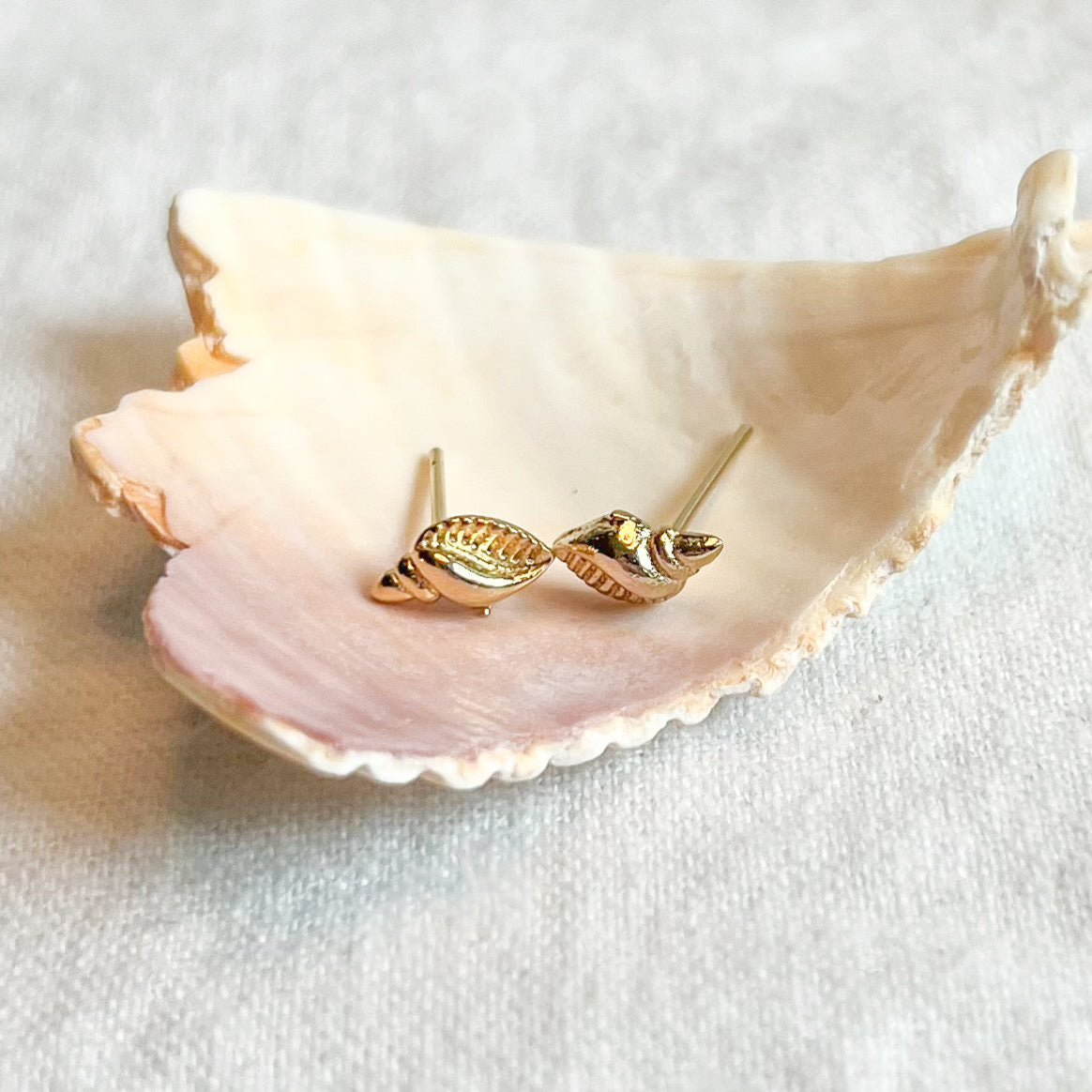 Tiny Seashell Studs