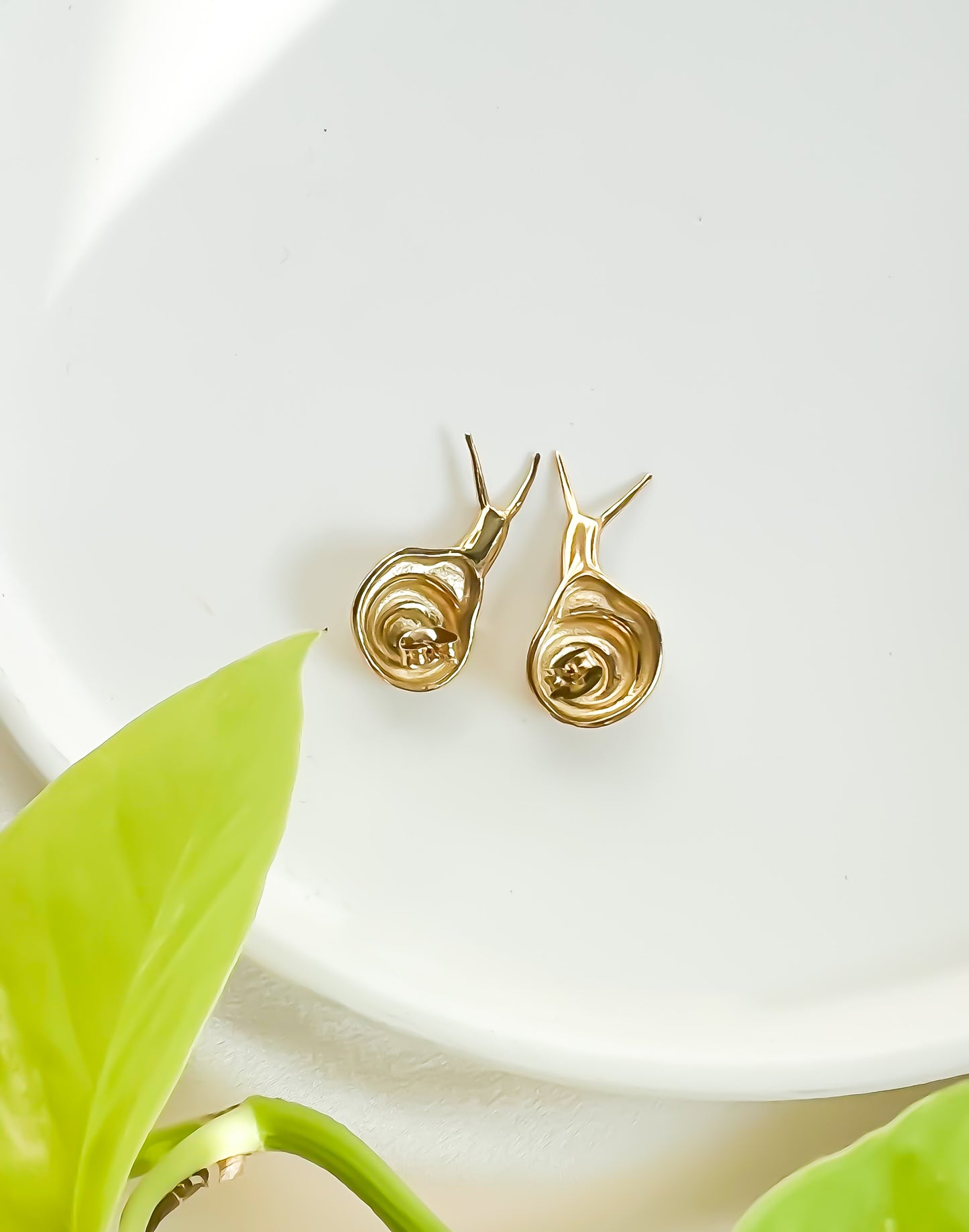 Snail Studs